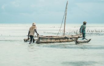 Fishermen at work